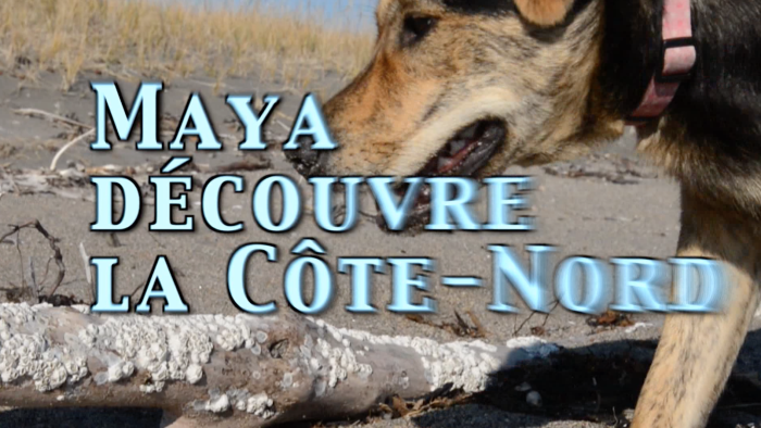Maya