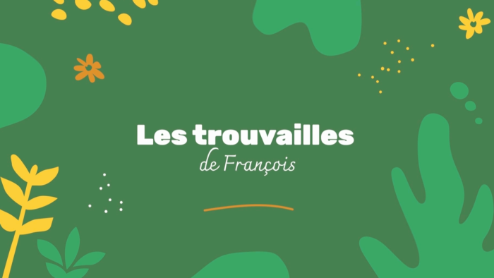 Les trouvailles de François