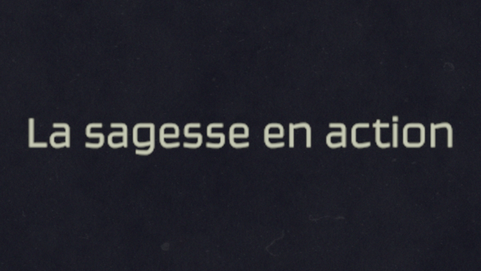 La sagesse en action